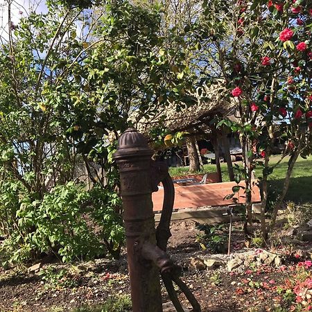 Villa Coco 9 Personnes Jardin Proche Beauval Lye Dış mekan fotoğraf